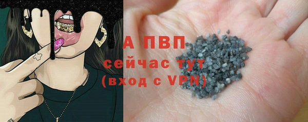 стафф Алексин