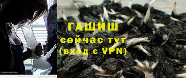 стафф Алексин